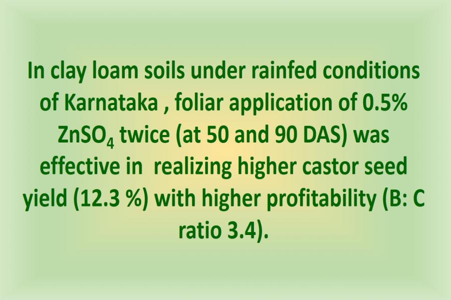 In clay loam soils under rainfed conditions of Karnataka , foliar application of 0.5% ZnSO4 twice (at 50 and 90 DAS) was effective in  realizing higher castor seed yield (12.3 %) with higher profitability (B: C ratio 3.4). 