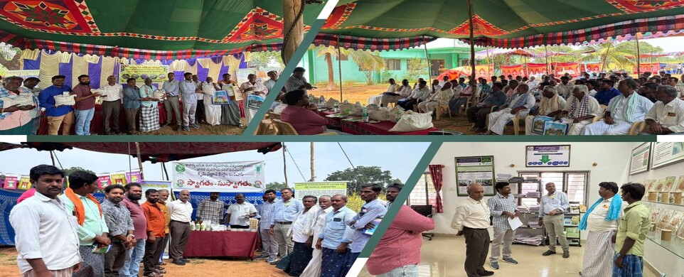 Boosting Oilseed Farming: Safflower Seed & Input Distribution Programme for SC Farmers – ICAR-IIOR, Kurnool, Andhra Pradesh