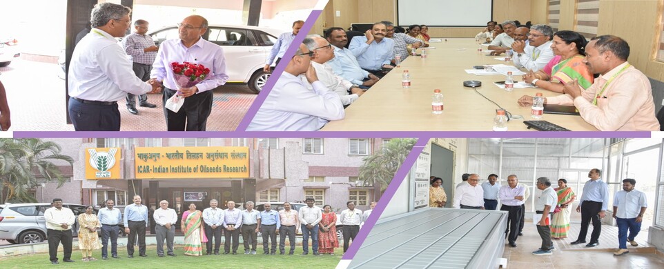 Shri. Sanjay Datta, President, ICICI Foundation & Team visit Speed Breeding Facility at ICAR-IIOR
