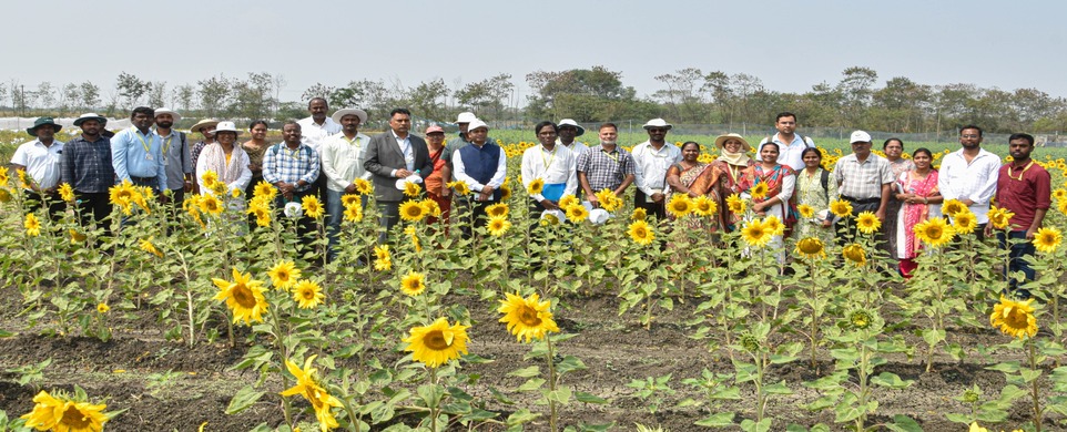 ICRISAT DG Visit to IIOR Fields at ICRISAT Farm