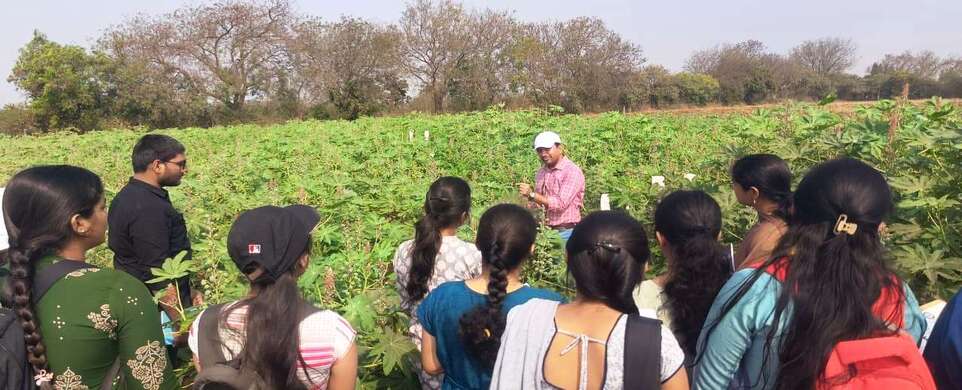 Seed production field visit and interaction of PG and Ph. D students of seed science and technology of PJTAU, Hyderabad