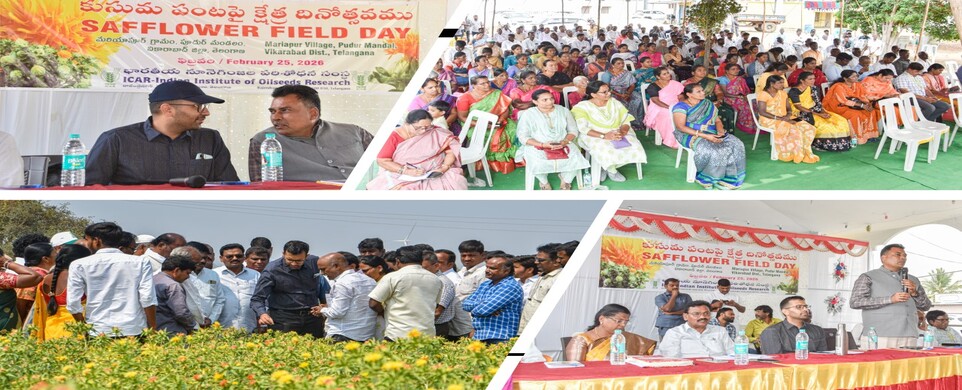 Safflower Field Day on 25th February 2026 at Mariyapur, Vikarabad