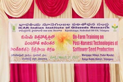 On-farm training on post-harvest technologies of Safflower seed production