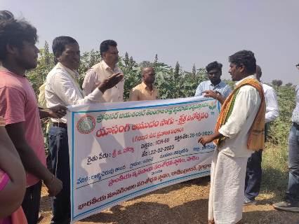 Field Day on Promoting rabi castor cultivation through Best management Practices