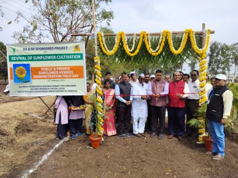 Organized Sunflower field day under DA&FW sponsored project Revival of Sunflower Cultivation jointly by ORS,  Latur and ICAR-IIOR, Hyderabad at Oilseeds Research Station, Latur on February 14, 2024