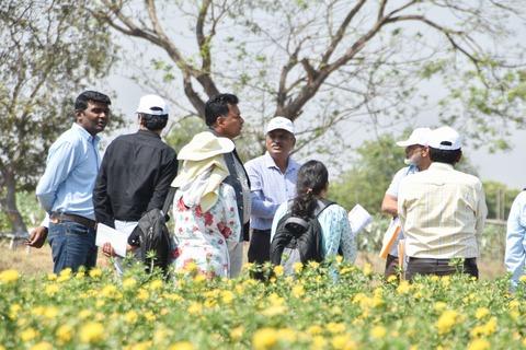 DBT Safflower Field Day 24-02-2025