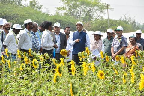 ICRISAT DG Visit to IIOR Fields at ICRISAT Farm