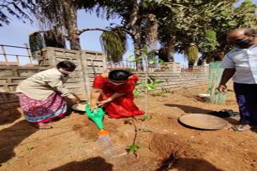 Tree plantation Under Bharat ka Amrit Mahostav