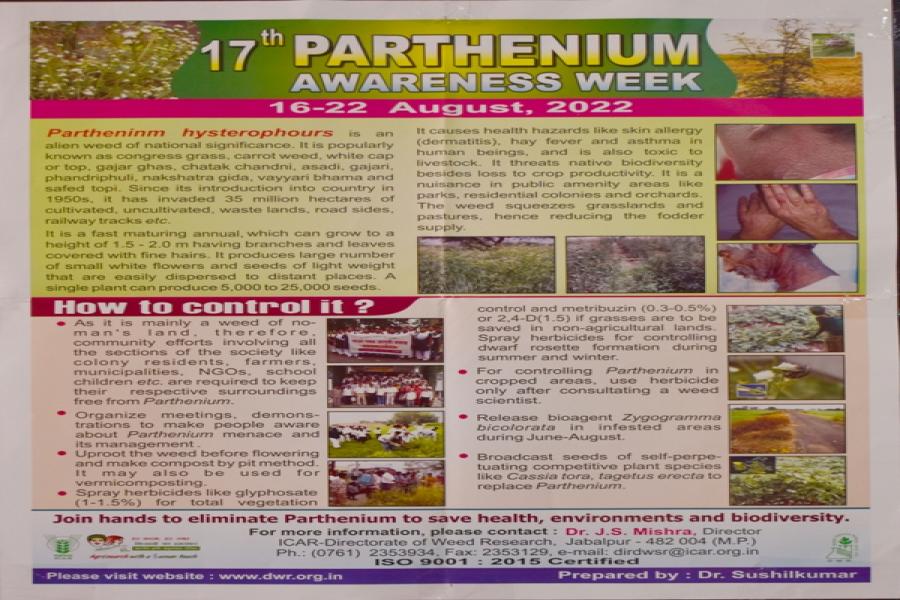 Parthenium Awareness Week