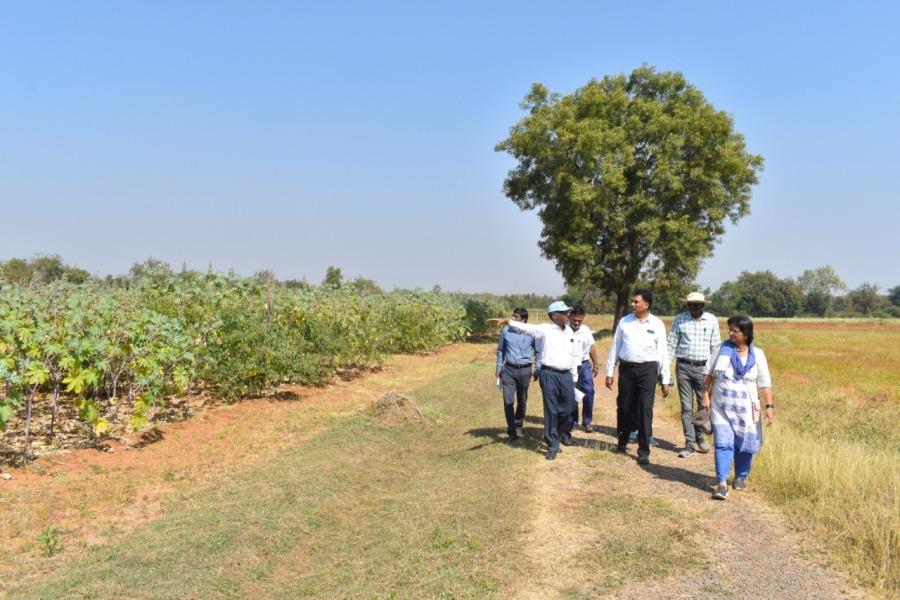 Visit of Dr.R.K.Mathur, Director, IIOR to experimental plots at Narkhoda along with scientists, technical and supporting staff.