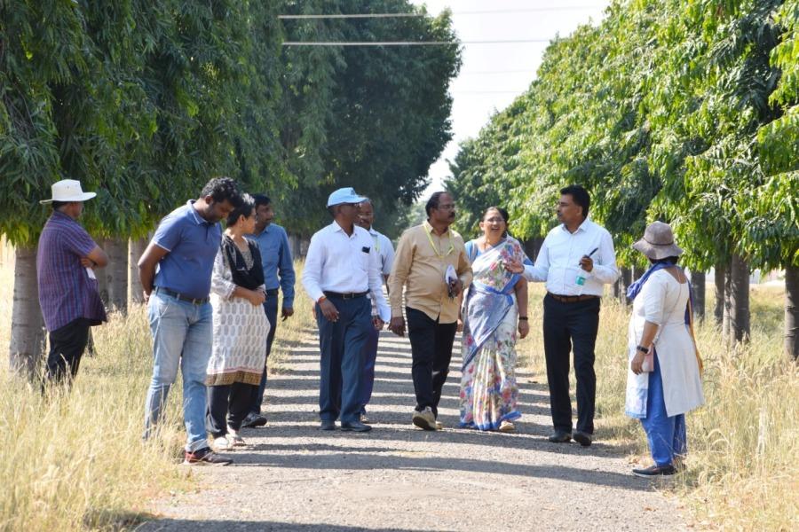 Visit of Dr.R.K.Mathur, Director, IIOR to experimental plots at Narkhoda along with scientists, technical and supporting staff.