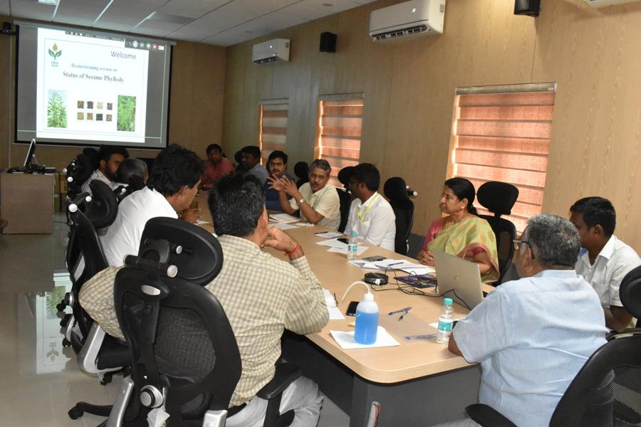 Brainstroming Session on Sesame Phyllody on 25.04.2023