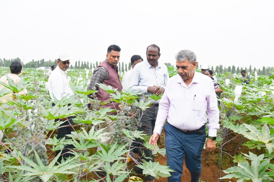 Visit of Dr. DK Yadav, Assistant Director General(Seeds) to Narkhoda Farm on 8.11.2023