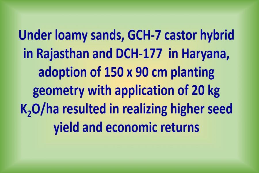 Under loamy sands, GCH 7 castor hybrid in Rajasthan and DCH-177  in Haryana, adoption of 150 x 90 cm planting geometry with application of 20 kg K2O/ha resulted in realizing higher seed yield and economic returns