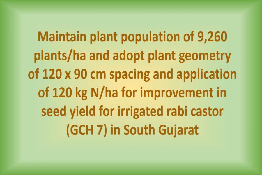 Maintain plant population of 9,260 plants/ha and adopt plant geometry of 120 x 90 cm spacing and application of 120 kg N/ha for improvement in seed yield for irrigated rabi castor (GCH 7) in South Gujarat