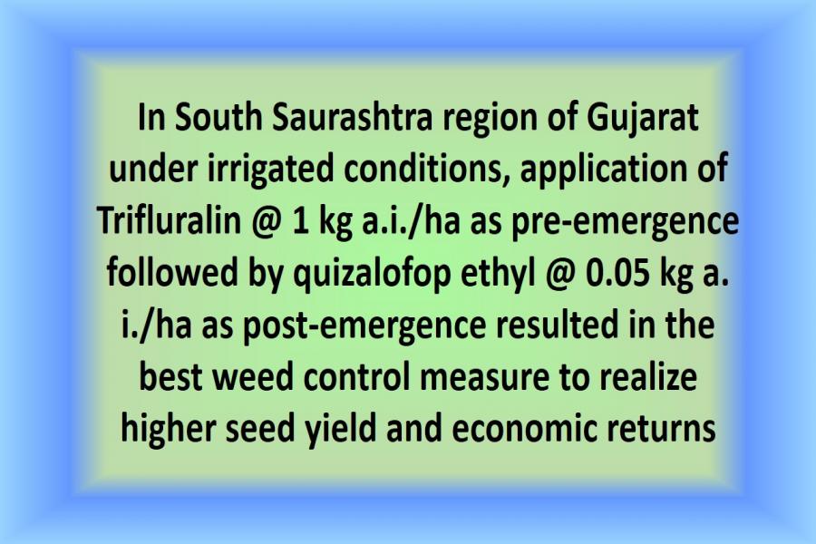 In South Saurashtra region of Gujarat under irrigated conditions, application of Trifluralin @ 1 kg a.i./ha as pre-emergence followed by quizalofop ethyl @ 0.05 kg a. i./ha as post-emergence resulted in the best weed control measure to realize higher seed yield and economic returns
