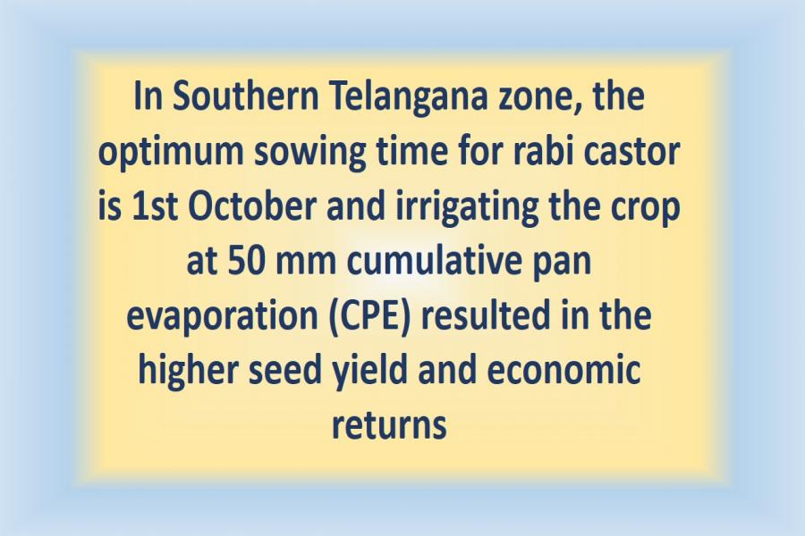 In Southern Telangana zone, the optimum sowing time for rabi castor is 1st October and irrigating the crop at 50mm cumulative pan evaporation (CPE) resulted in the higher seed yield and economic returns