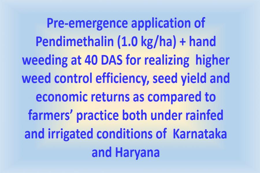 Pre-emergence application of Pendimethalin (1.0 kg/ha) + hand weeding at 40 DAS for realizing  higher weed control efficiency, seed yield and economic returns as compared to farmers’ practice both under rainfed and irrigated conditions of  Karnataka and Haryana