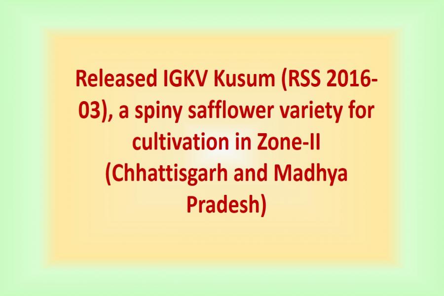 Released IGKV Kusum (RSS 2016-03), a spiny safflower variety for cultivation in Zone-II (Chhattisgarh and Madhya Pradesh)