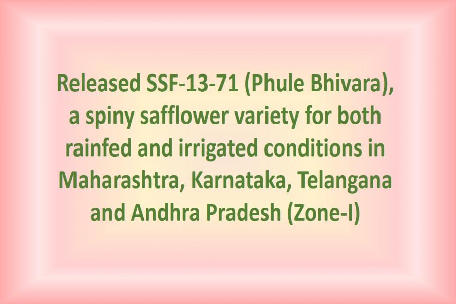 Released SSF-13-71 (Phule Bhivara), a spiny safflowervariety for both rainfed and irrigated conditions inMaharashtra, Karnataka, Telangana and Andhra Pradesh(Zone-I)