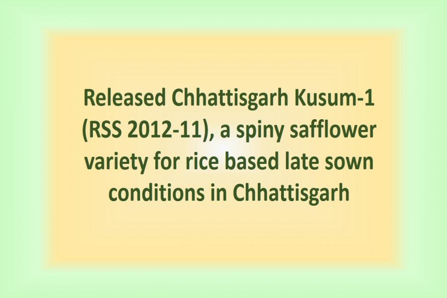 Released Chhattisgarh Kusum-1 (RSS 2012-11), a spiny safflower variety for rice based late sown conditions in Chhattisgarh