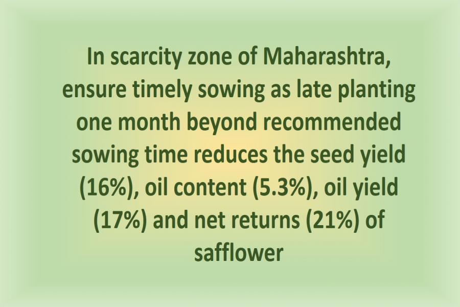 In scarcity zone of Maharashtra, ensure timely sowing as late planting one month beyond recommended sowing time reduces the seed yield (16%), oil content (5.3%), oil yield (17%) and net returns (21%) of safflower