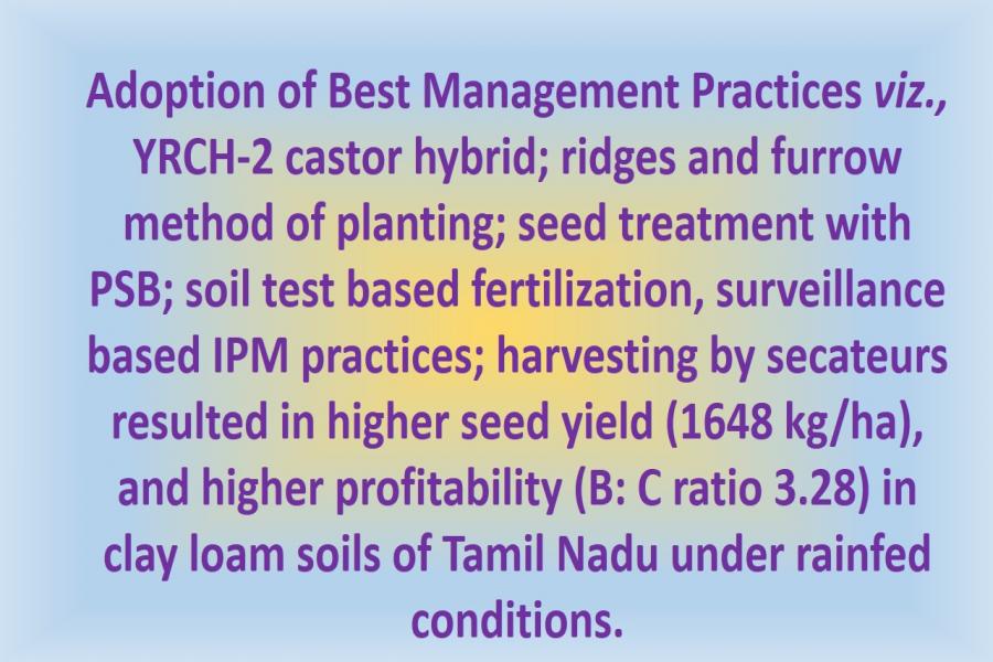 Adoption of Best Management Practices viz., YRCH-2 castor hybrid; ridges and furrow method of planting; seed treatment with PSB; soil test based fertilization, surveillance based IPM practices; harvesting by secateurs resulted in higher seed yield (1648 kg/ha), and higher profitability (B: C ratio 3.28) in clay loam soils of Tamil Nadu under rainfed conditions.