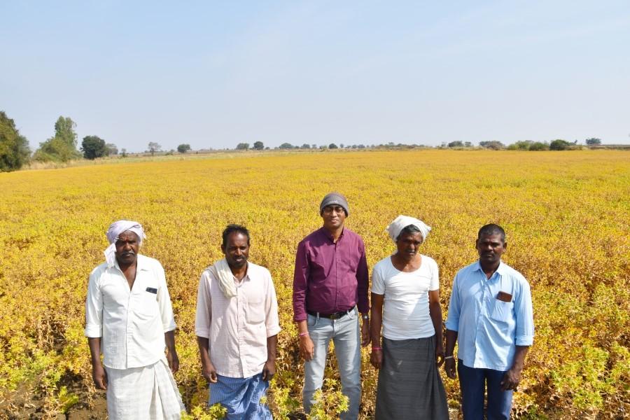 Safflower Field visit in Thirumalapur, and Regadidhoswada Villages, Shabad Mandal on 30-01-2024