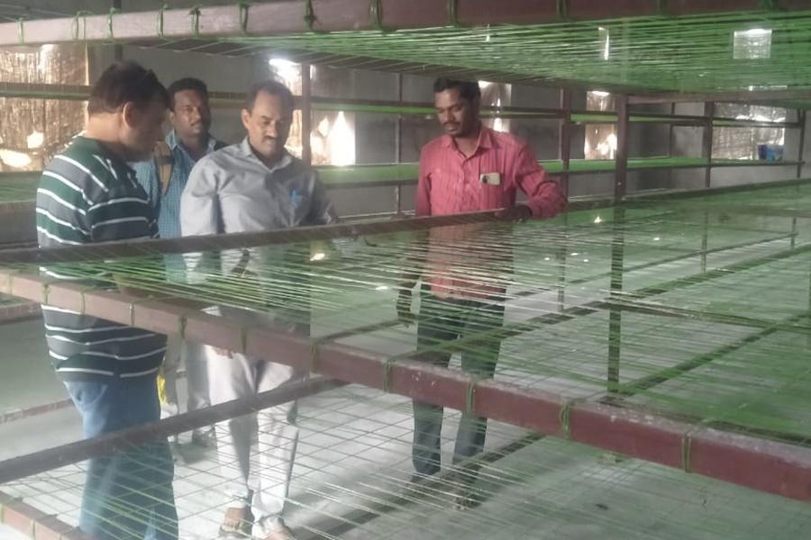 Initiating sericulture in FPO village