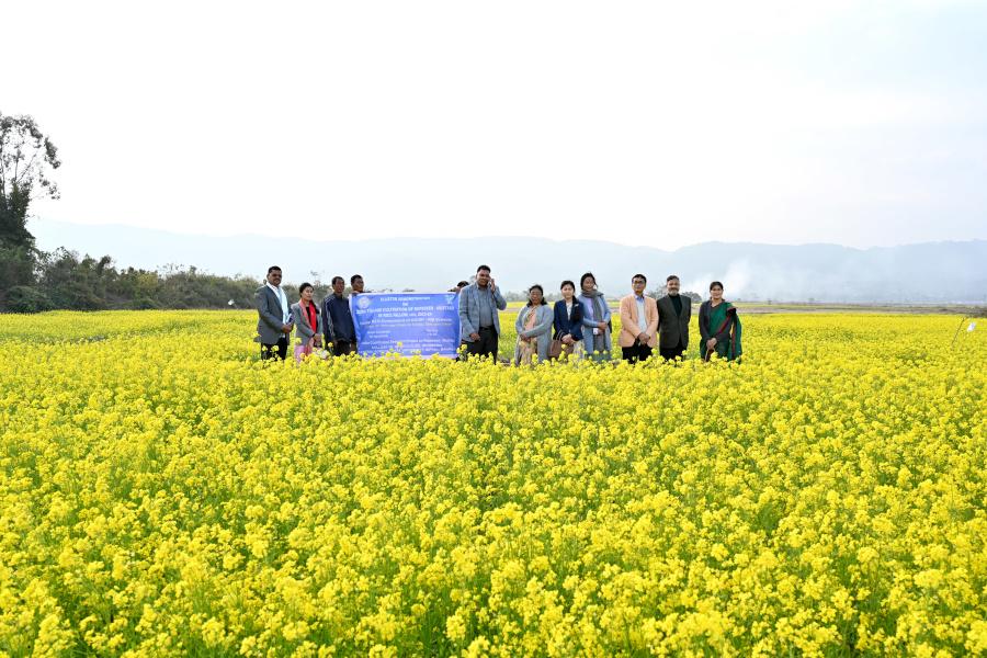 Two days Training Programme on Oilseed Production in NEH Region 5th and 6th Feb, 2024