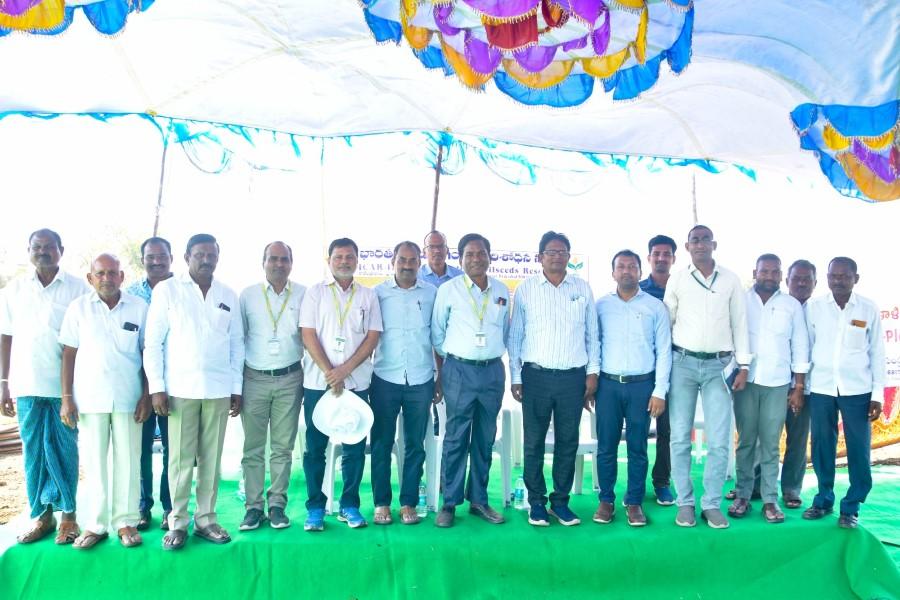Safflower field visit at Thirumalapur