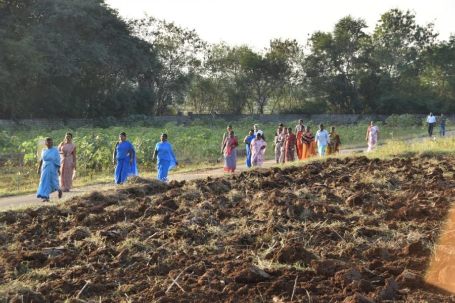 Swachata Pakhwada Walkthon
