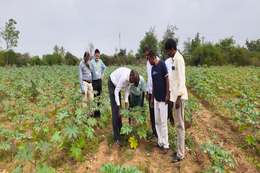 Celebration of World Soil Day (05122024) and Visit to castor seed