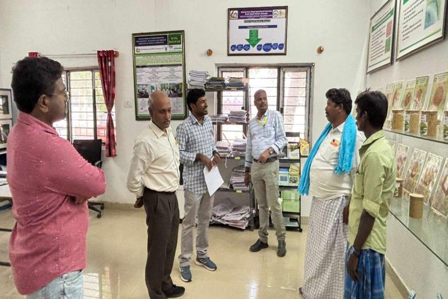 Boosting Oilseed Farming: Safflower Seed & Input Distribution Programme for SC Farmers – ICAR-IIOR, Kurnool, Andhra Pradesh
