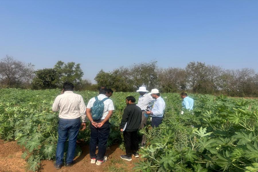 South zone monitoring team visit