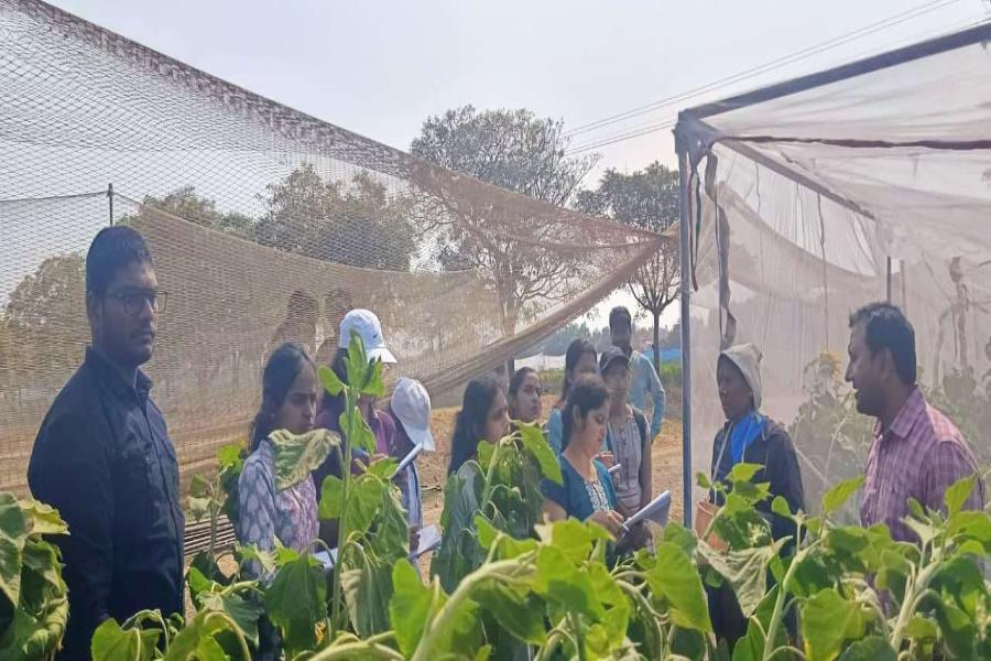Seed production field visit and interaction of PG and Ph. D students of seed science and technology of PJTAU, Hyderabad