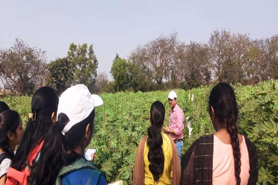 Seed production field visit and interaction of PG and Ph. D students of seed science and technology of PJTAU, Hyderabad