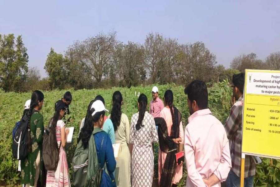 Seed production field visit and interaction of PG and Ph. D students of seed science and technology of PJTAU, Hyderabad