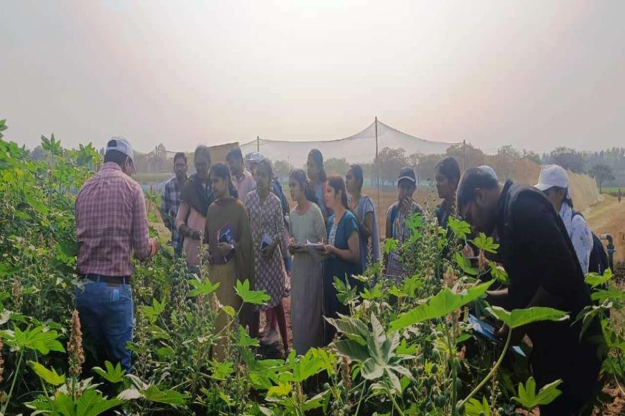 Seed production field visit and interaction of PG and Ph. D students of seed science and technology of PJTAU, Hyderabad