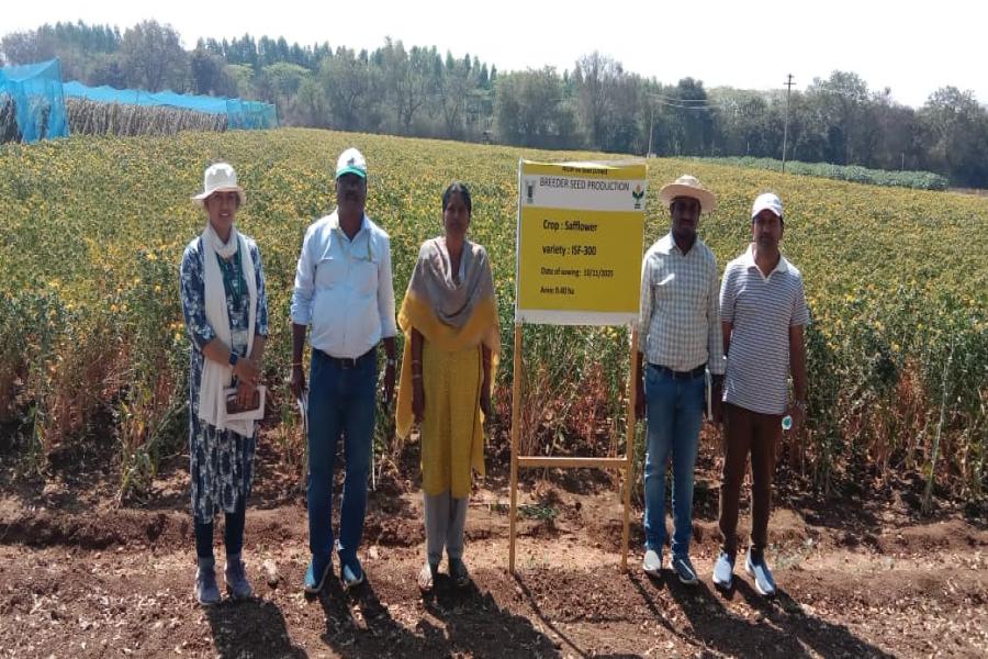 Breeder seed production of safflower varieties ISF-764, ISF-300, ISF-123-Sel-15, and ISH-402, along with sunflower parental lines ARM-243A, ARM-243B, RGP-184, and RGP-304, was monitored at Narkhoda Farm.  Officials from Telangana State Seed and Organic Certification Authority (TSSOCA), National Seeds Corporation (NSC), and Professor Jayashankar Telangana Agricultural University – ARS Tandur inspected the fields to assess crop performance, genetic purity, isolation distance, and adherence to breeder seed pro