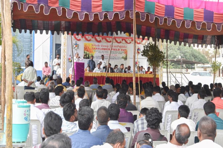Safflower Field Day on 25th February 2026 at Mariyapur, Vikarabad