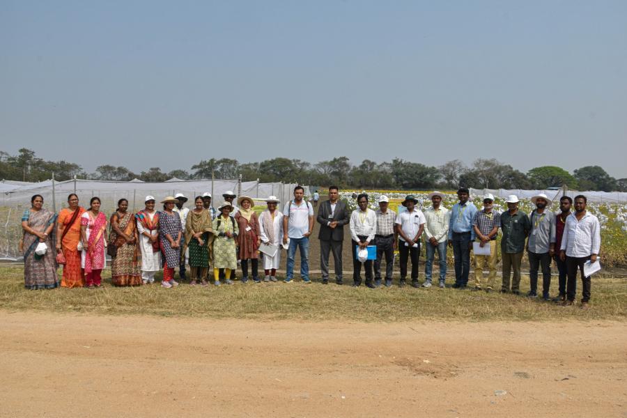 ICRISAT DG Visit to IIOR Fields at ICRISAT Farm
