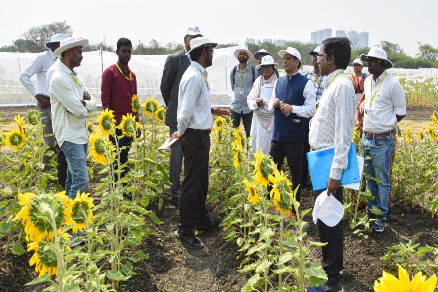 ICRISAT DG Visit to IIOR Fields at ICRISAT Farm