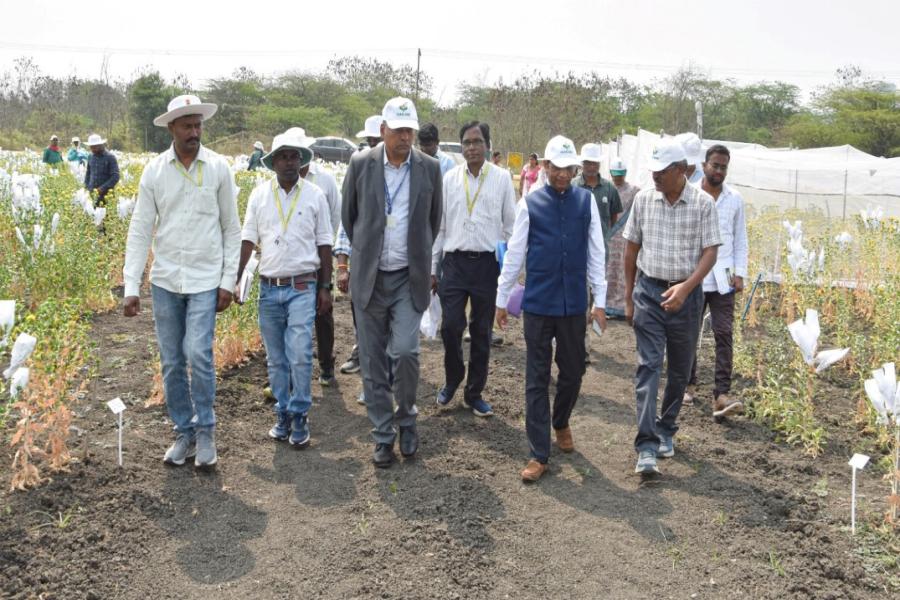 ICRISAT DG Visit to IIOR Fields at ICRISAT Farm