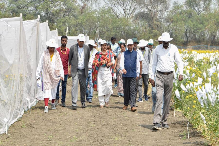 ICRISAT DG Visit to IIOR Fields at ICRISAT Farm