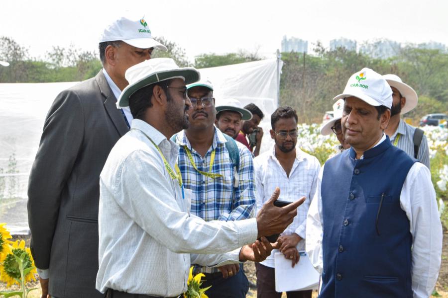 ICRISAT DG Visit to IIOR Fields at ICRISAT Farm